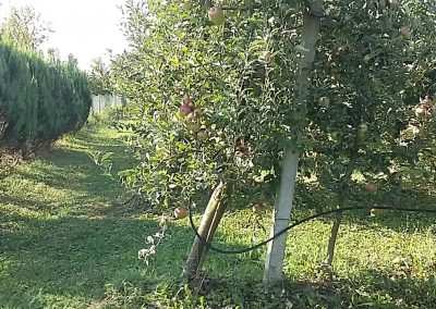 OPG-Cizel-Galerija (7)